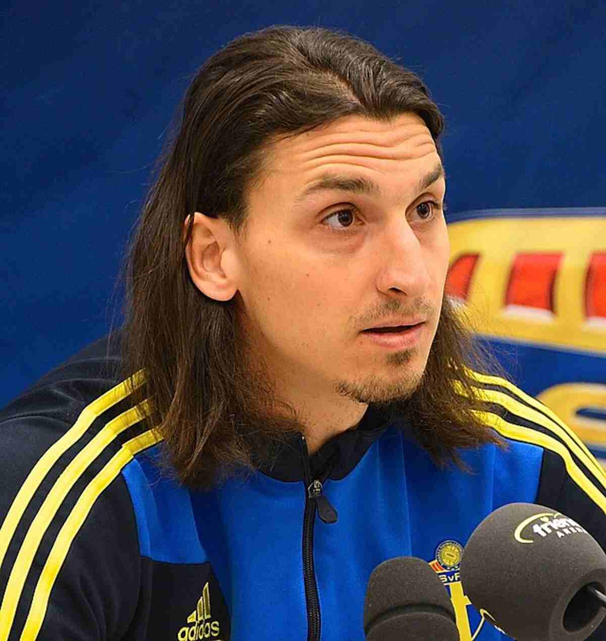 Zlatan Ibrahimović Siblings