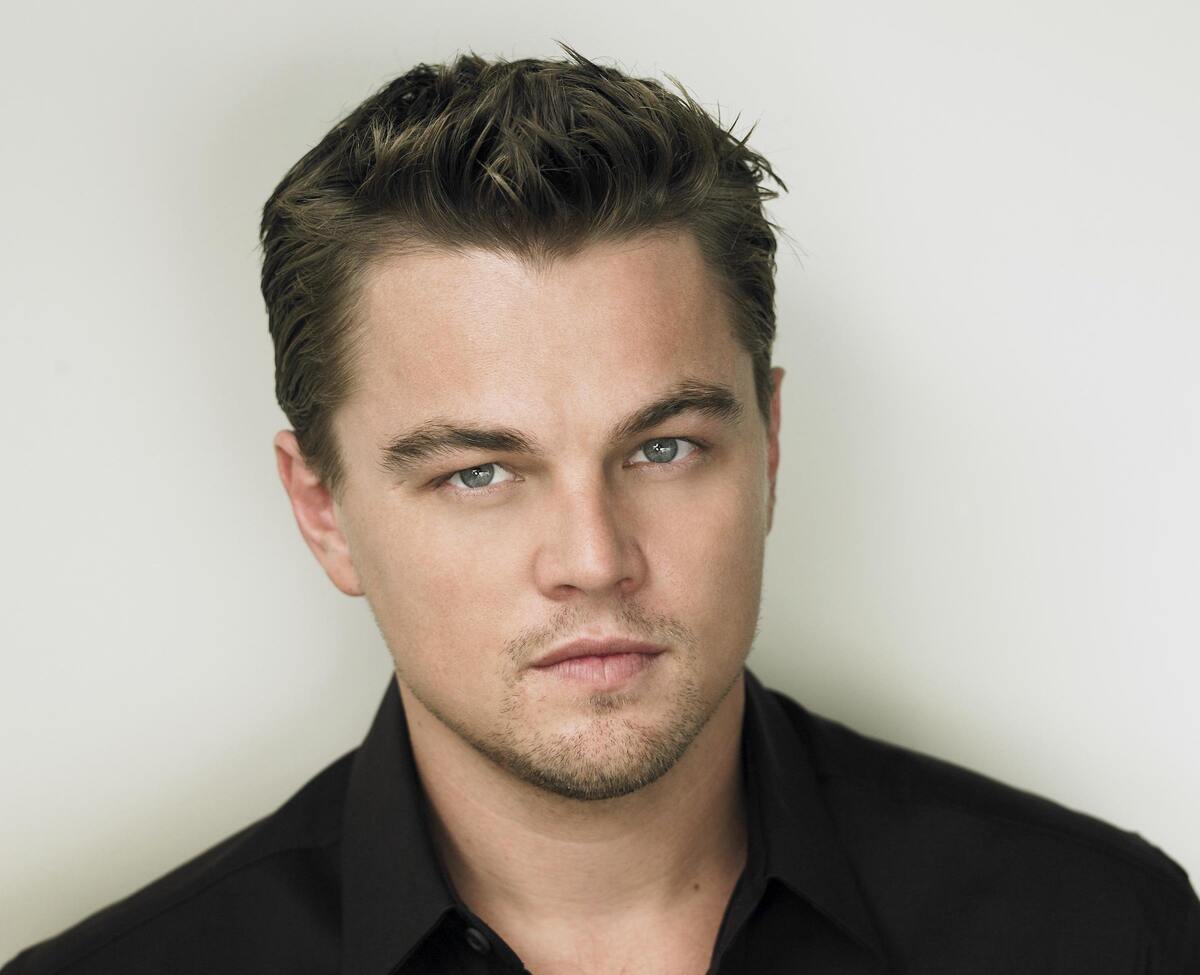 Leonardo DiCaprio Gay